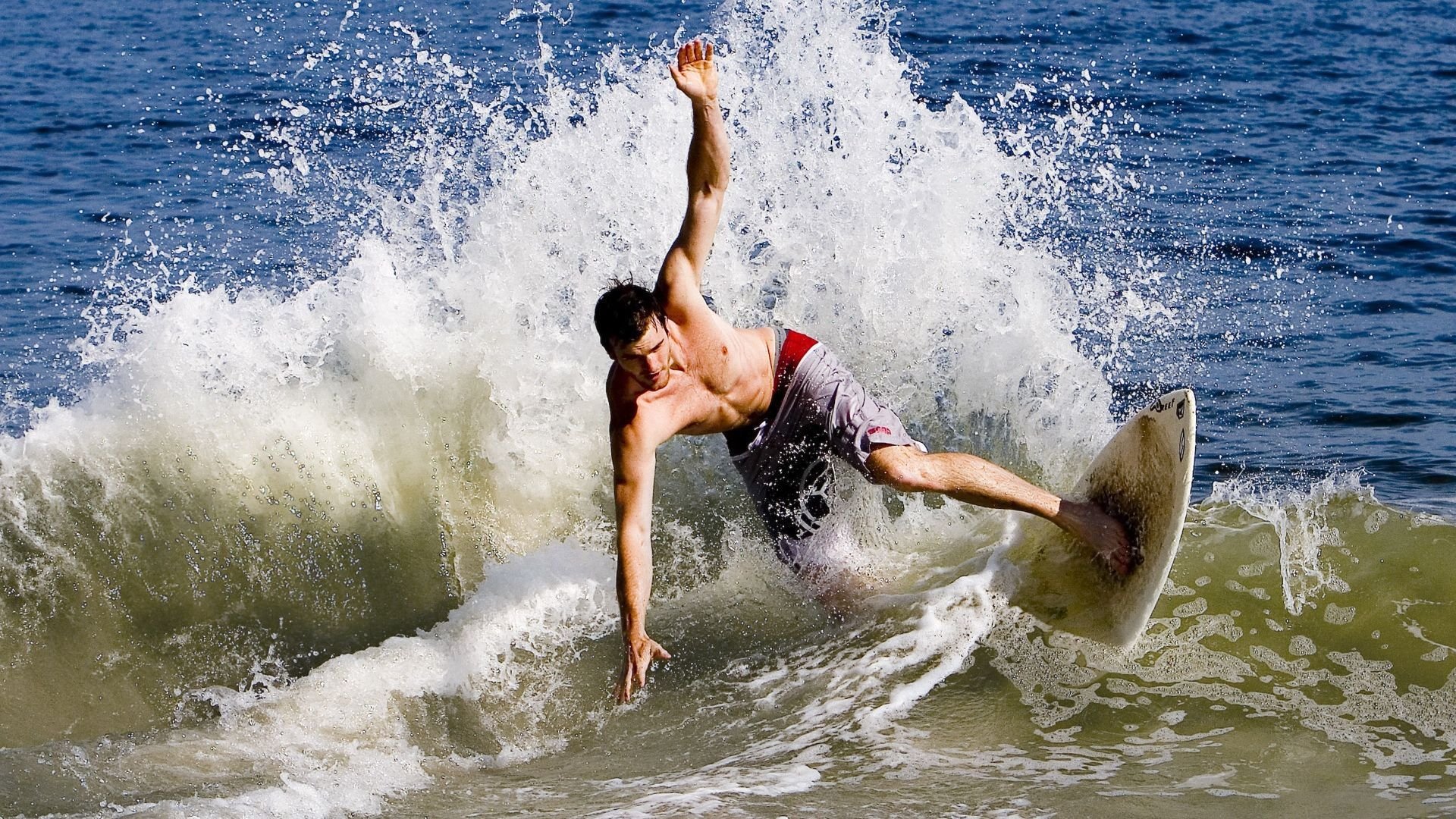 体育明星年度总结